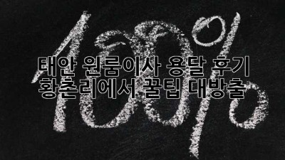 태안 원룸이사 용달 후기🚚 황촌리에서 꿀팁 대방출🍯