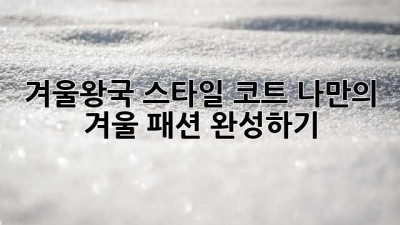 겨울왕국 스타일 코트, 나만의 겨울 패션 완성하기