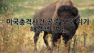 🚨미국총격사건🚨 공중 보건 위기? 해결책 긴급🔎